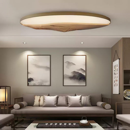 Half-Mountain Ceiling Lamp-DWHOME