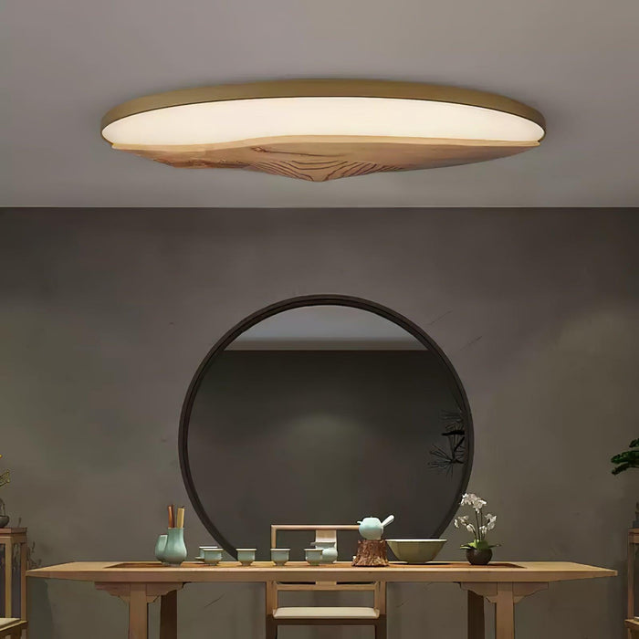 Half-Mountain Ceiling Lamp-DWHOME