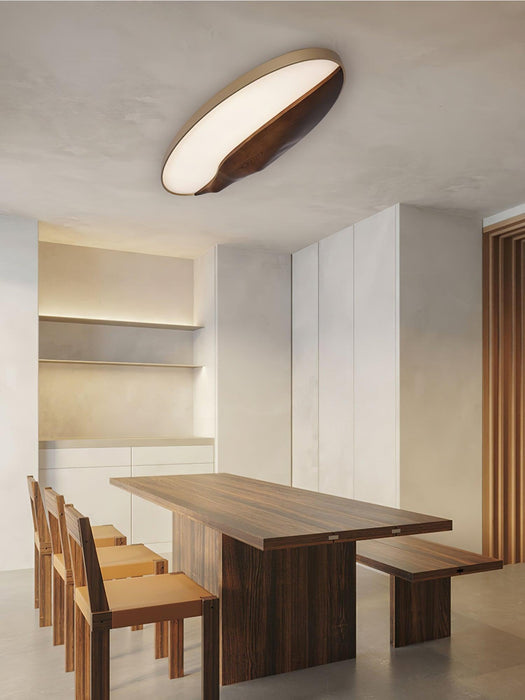 Half-Mountain Ceiling Lamp-DWHOME