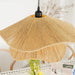 Handmade Straw Hat Pendant Lamp-DWHOME