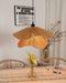 Handmade Straw Hat Pendant Lamp-DWHOME