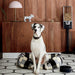 Hanna Table Lamp-DWHOME