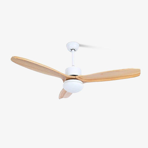 Harborough 3 Ceiling Fan Light - DWHOME