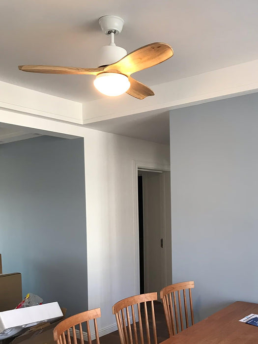 Harborough 3 Ceiling Fan Light - DWHOME