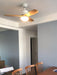 Harborough 3 Ceiling Fan Light - DWHOME
