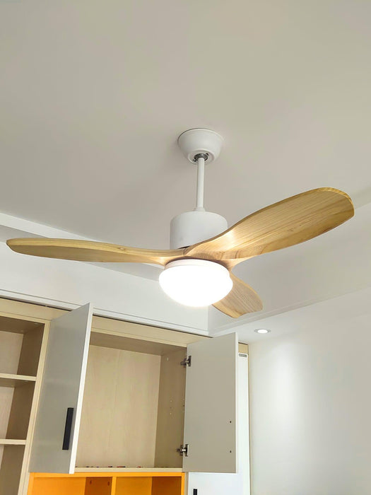Harborough 3 Ceiling Fan Light - DWHOME