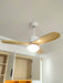 Harborough 3 Ceiling Fan Light - DWHOME