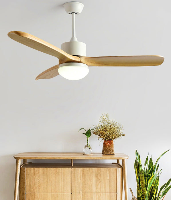 Harborough 3 Ceiling Fan Light - DWHOME
