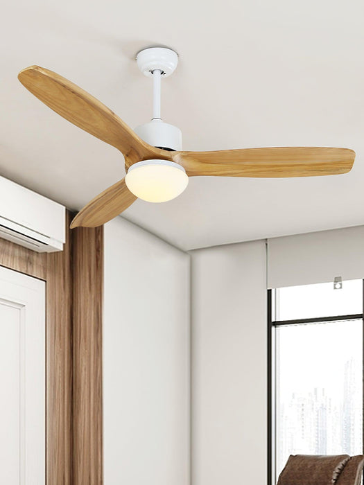 Harborough 3 Ceiling Fan Light - DWHOME