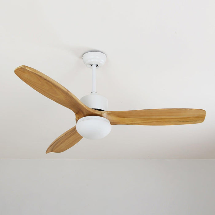 Harborough 3 Ceiling Fan Light - DWHOME