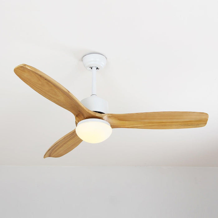 Harborough 3 Ceiling Fan Light - DWHOME