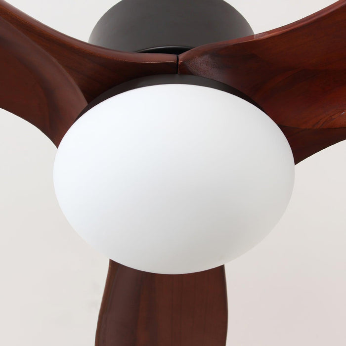 Harborough 3 Ceiling Fan Light - DWHOME