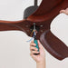 Harborough 3 Ceiling Fan Light - DWHOME