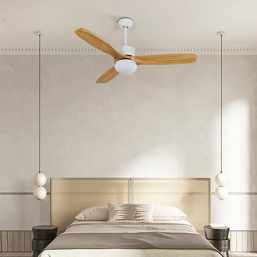 Harborough 3 Ceiling Fan Light - DWHOME