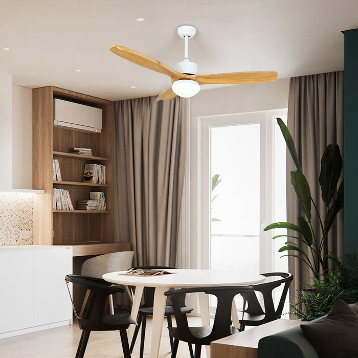 Harborough 3 Ceiling Fan Light - DWHOME