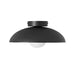 Harper Glass Dome Ceiling Lamp-DWHOME