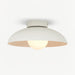 Harper Glass Dome Ceiling Lamp-DWHOME
