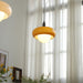 Harvey Pendant Lamp - DWHOME