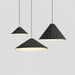 Hat Resin Pendant Lamp-DWHOME