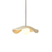 Hats Pendant Lamp-DWHOME