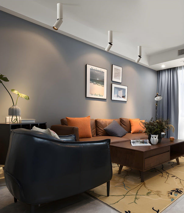 Julian Adjustable Surface Downlight-DWHOME