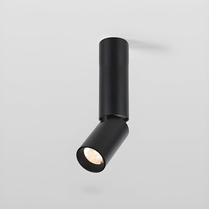 Julian Adjustable Surface Downlight-DWHOME