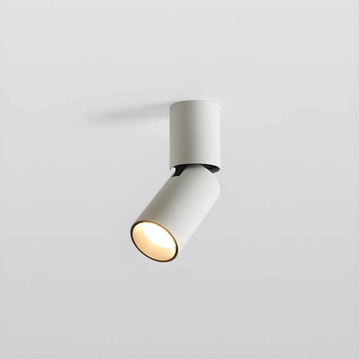 Julian Adjustable Surface Downlight-DWHOME