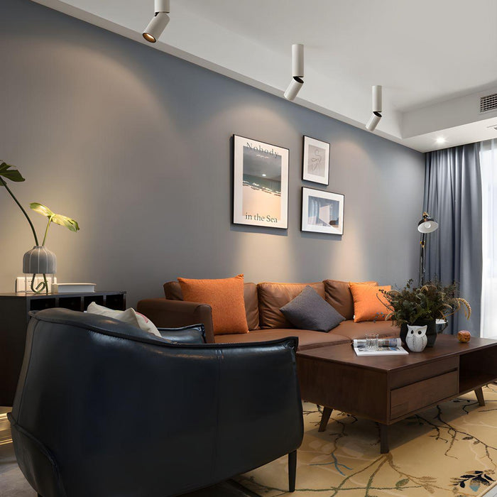 Julian Adjustable Surface Downlight-DWHOME