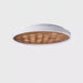 Heartwood Ceiling Lamp-DWHOME