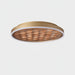Heartwood Ceiling Lamp-DWHOME