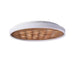 Heartwood Ceiling Lamp-DWHOME