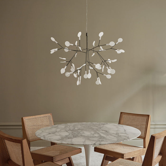 Heracleum Chandelier-DWHOME