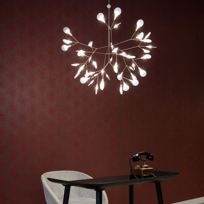 Heracleum Chandelier-DWHOME