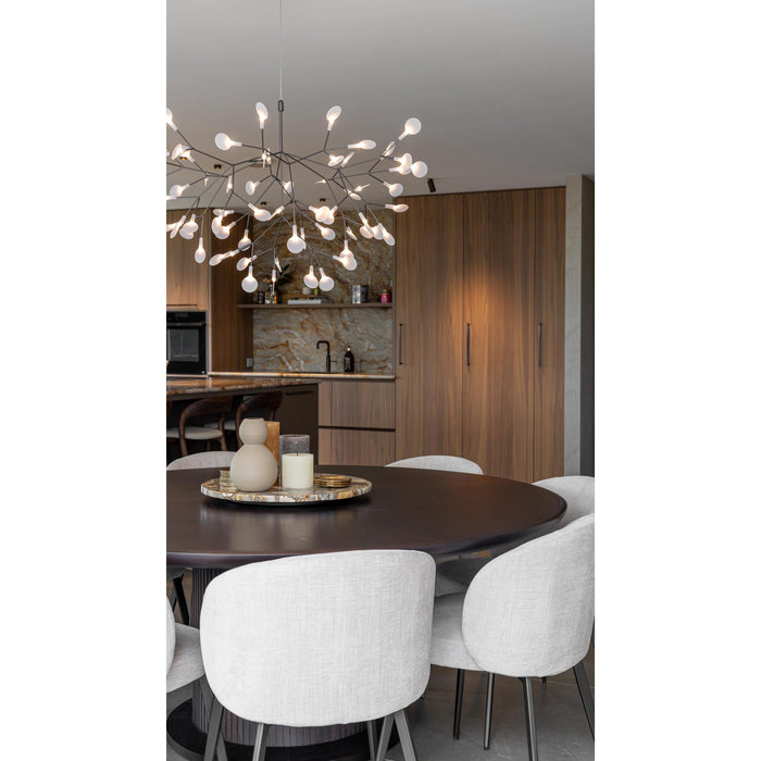 Heracleum Chandelier-DWHOME