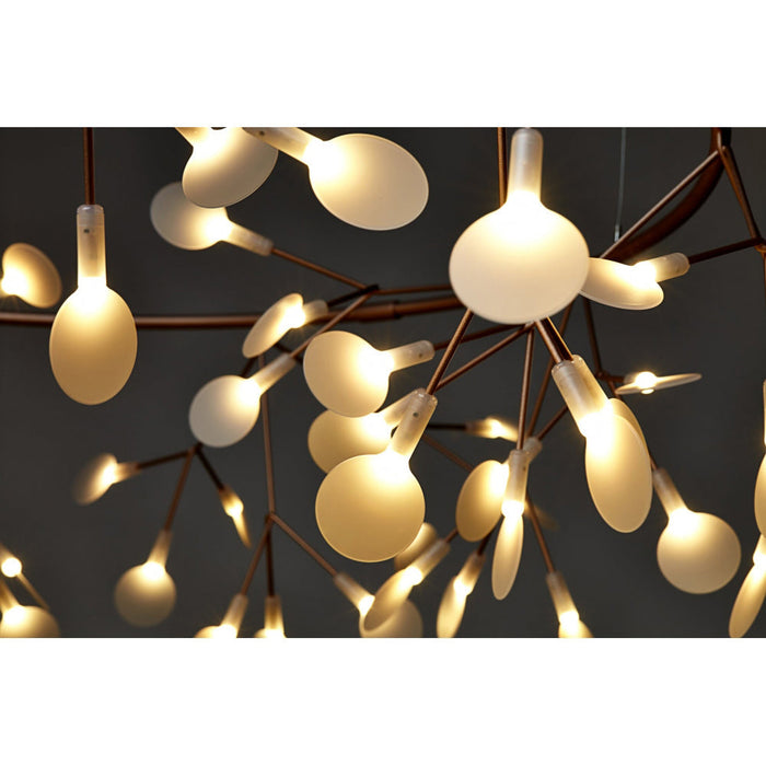 Heracleum Chandelier-DWHOME