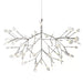 Heracleum Chandelier-DWHOME