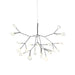 Heracleum Chandelier-DWHOME