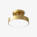 Hero Rotating Ceiling Lamp-DWHOME