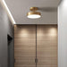 Hero Rotating Ceiling Lamp-DWHOME