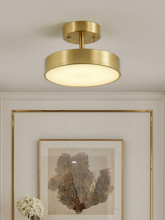 Hero Rotating Ceiling Lamp-DWHOME