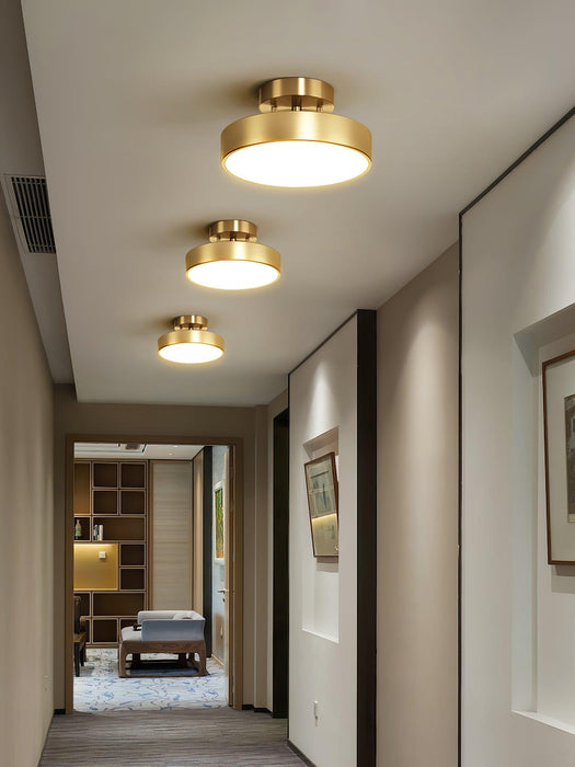 Hero Rotating Ceiling Lamp-DWHOME