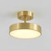 Hero Rotating Ceiling Lamp-DWHOME