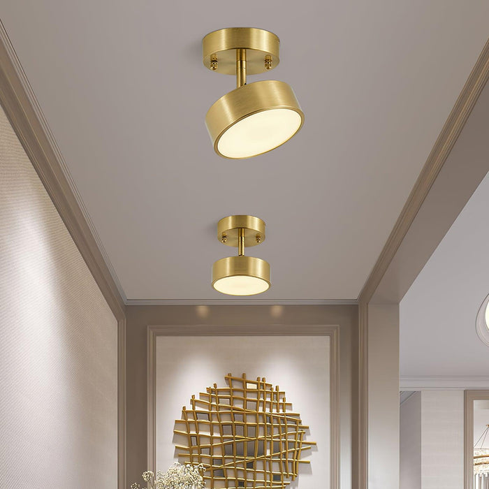 Hero Rotating Ceiling Lamp-DWHOME