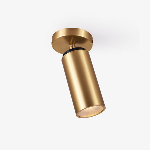 Horizon Brass Spot Light - Vakkerlight
