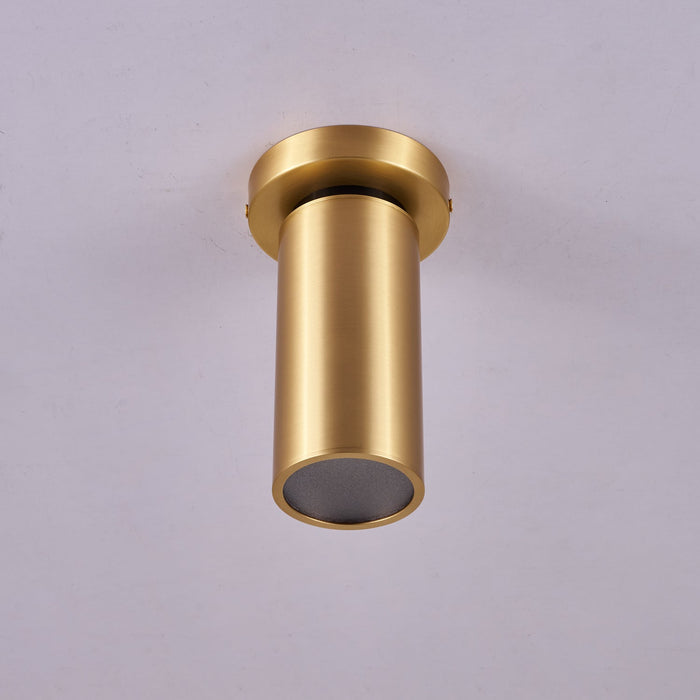 Horizon Brass Spot Light-DWHOME