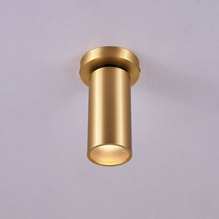 Horizon Brass Spot Light-DWHOME