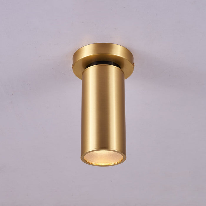 Horizon Brass Spot Light-DWHOME