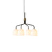 Howard Chandelier-DWHOME