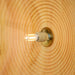 Longleaf Wooden Plate Simple and Elegant Wall Light - DWHOME