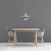 Ikono Pendant lamp-DWHOME